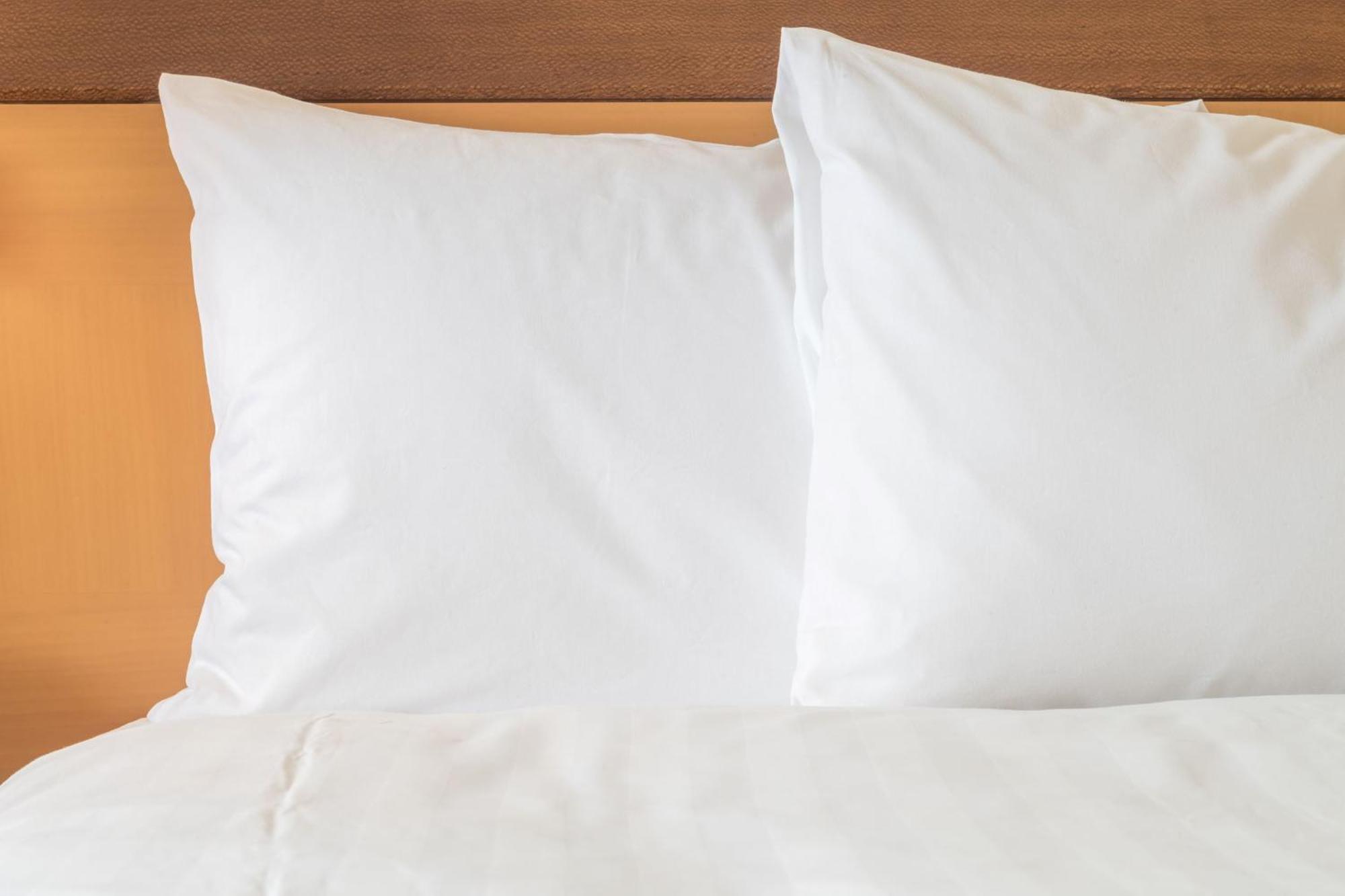Holiday Inn Express St. Louis Central West End By Ihg Ngoại thất bức ảnh